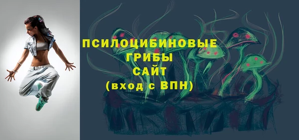 мдпв Дмитриев