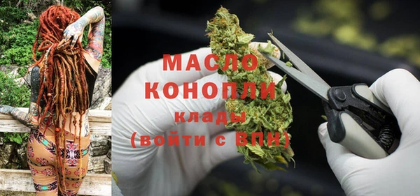 мдпв Дмитриев