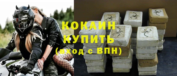 мдпв Дмитриев