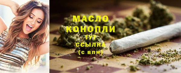 мдпв Дмитриев