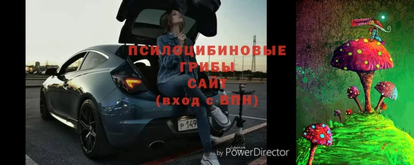 мдпв Дмитриев